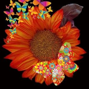 Meet your Posher, Sdianne